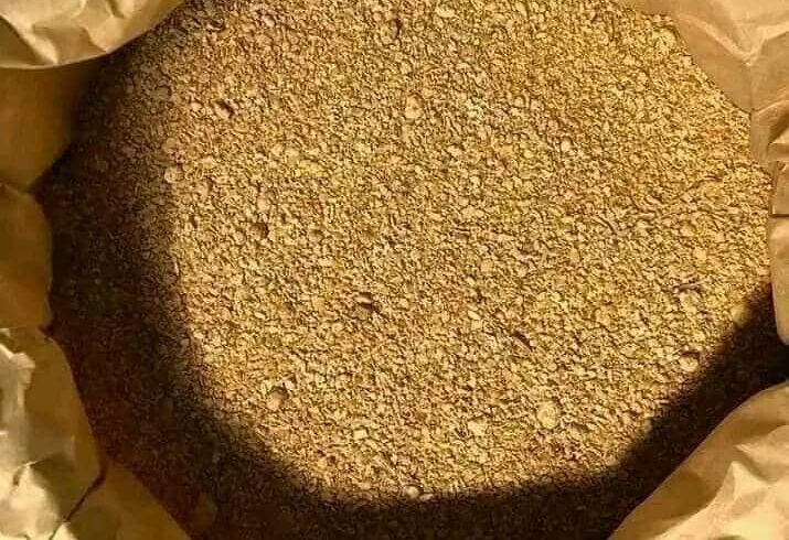 whatsapp image 2023 11 09 at 19.41.08 8